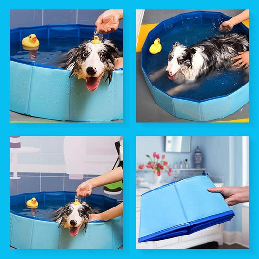 perros piscina